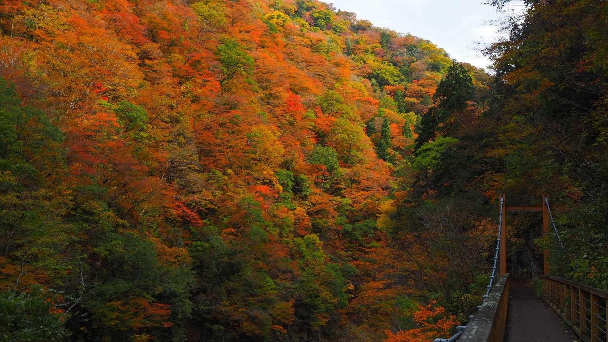Готель Kashintei Shirahama Semboku Екстер'єр фото