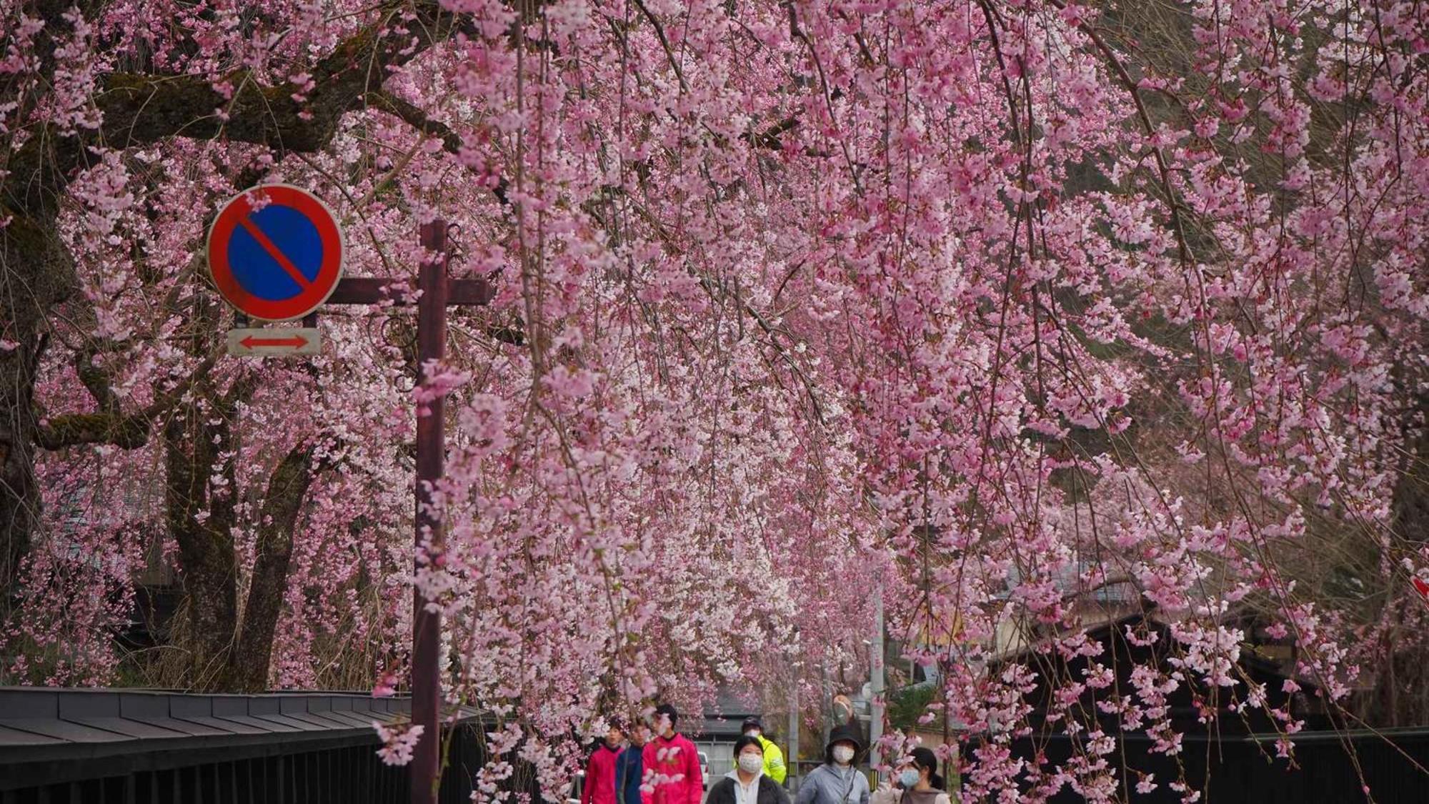 Готель Kashintei Shirahama Semboku Екстер'єр фото