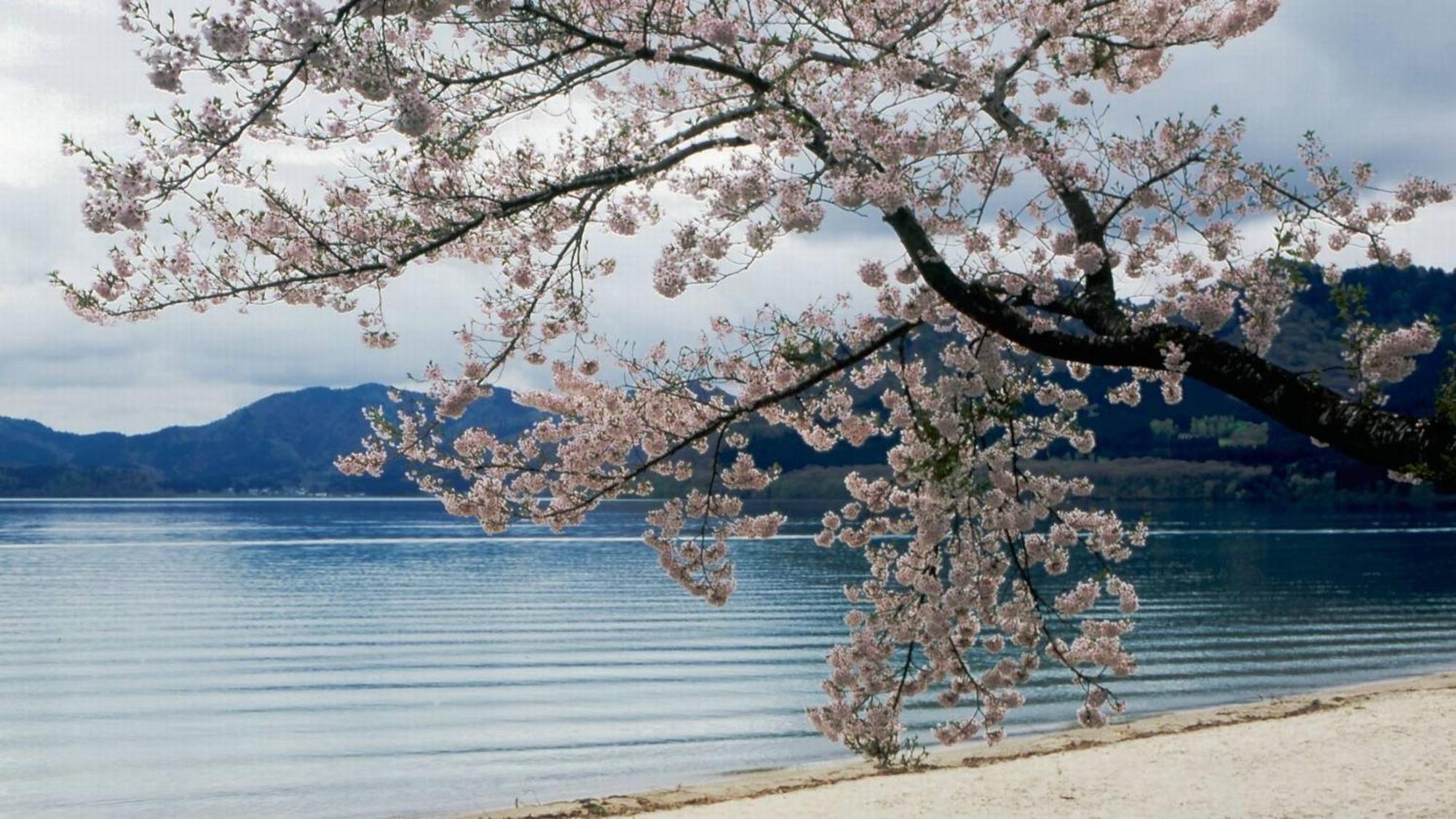 Готель Kashintei Shirahama Semboku Екстер'єр фото